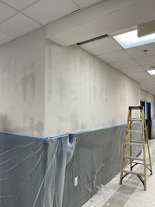 Commercial Wallpaper Installation